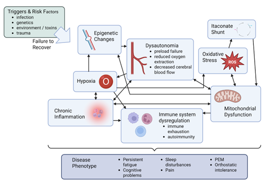 The graphic shows how a failure to recover from triggers and risk factors (top left) leads to a complex web of dysregulated systems, and the interactions between these systems yield the disease phenotype that can vary from person to person.